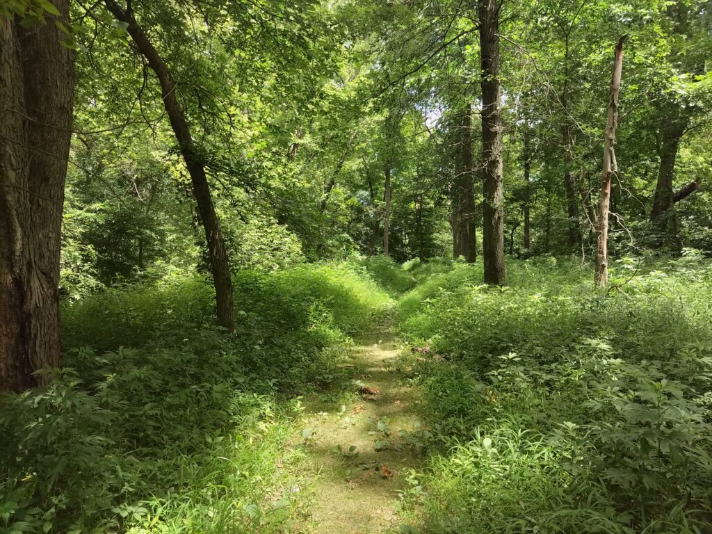 Path to Civil War Battlefield